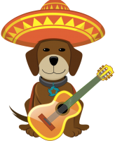 a cinco de mayo dog